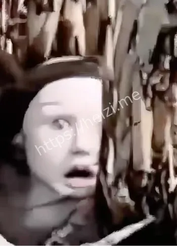 成都殡仪馆事件