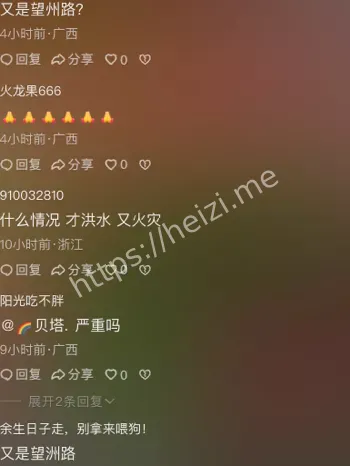 南宁望州南路火灾