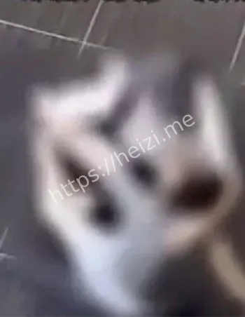 香港女游客受害细节