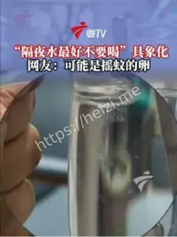 隔夜水漂浮物