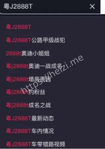 2888T奥迪小姐姐