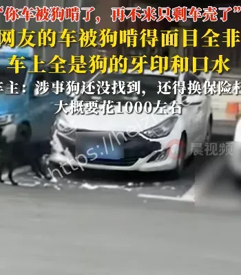 人在家中睡