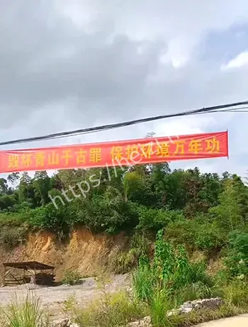 集体资产