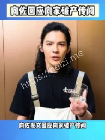 向佐破产传闻辟谣