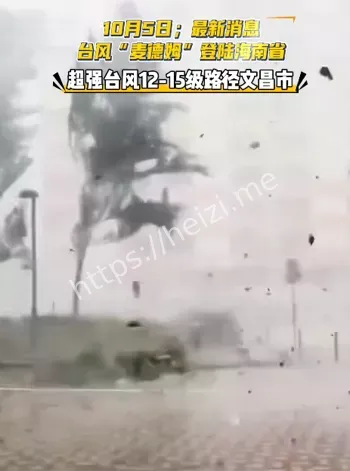 台风麦德姆