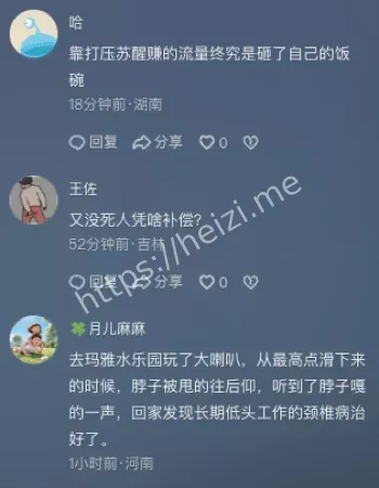 游客悬停尖叫救援