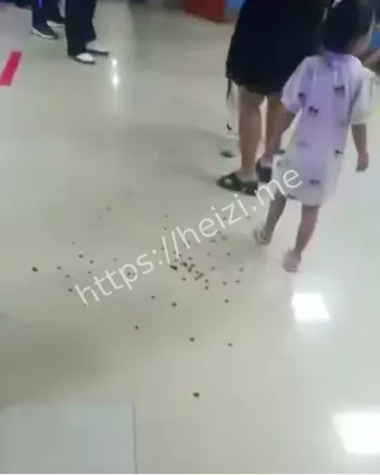 泉州泉港