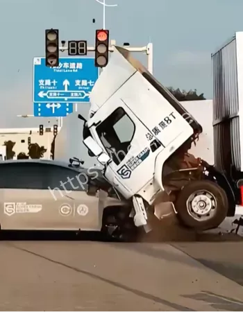 理想汽车侵权