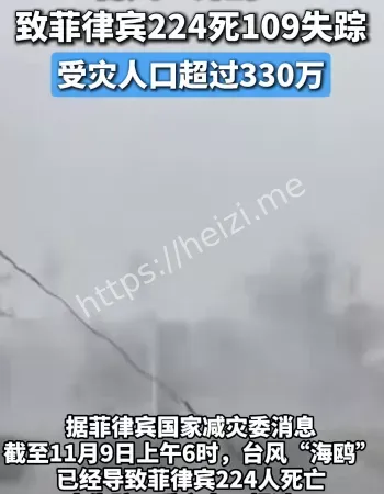 台风海鸥