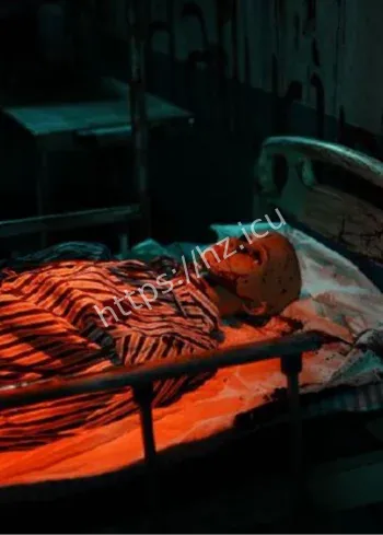 金杯面包车谜案