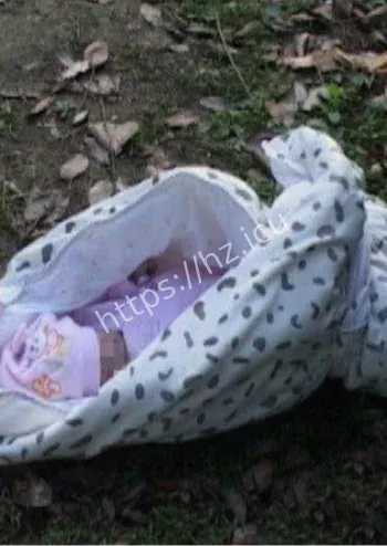 中国版匹诺曹之谜