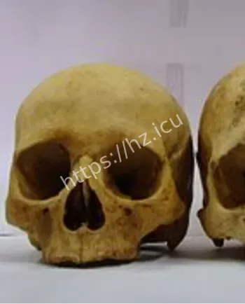 威尼斯外海禁地