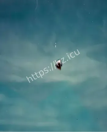 墨尔本飞碟降落