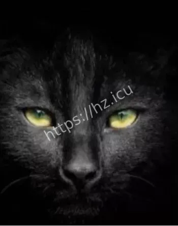 东北人变猫脸诈尸