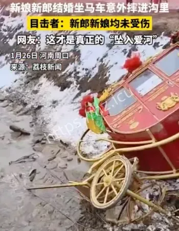 网友这才是真正的坠入爱河