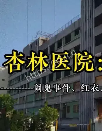 废墟内有人影移动