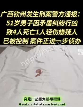 二婚妻出轨引杀机