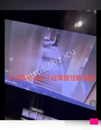 敛财多情妇
