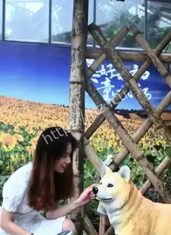 私密视频意外流出曝光