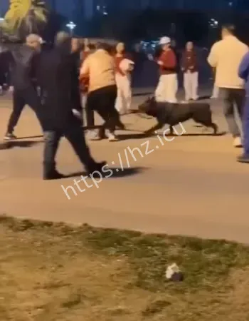 黑狗疯狂撕咬小孩