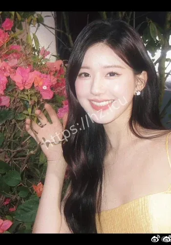 北影节红后续关注