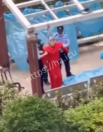 大妈红衣半夜吊死物业凉亭