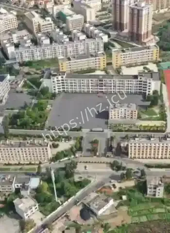 儿子校内遭欺凌