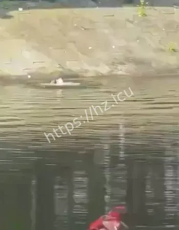 2岁幼童不慎落湖