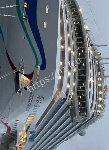 凌晨坠入大海下落不明