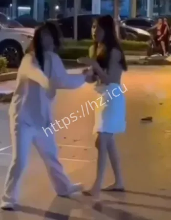 抓奸现场大乱斗