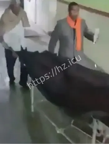 男子假死葬礼上醒来