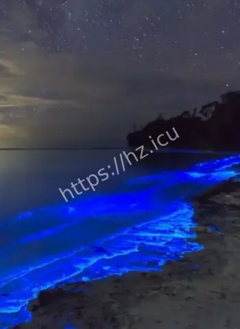 海岸惊现荧光海藻