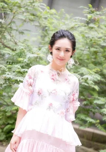 谢娜成都舆论走向