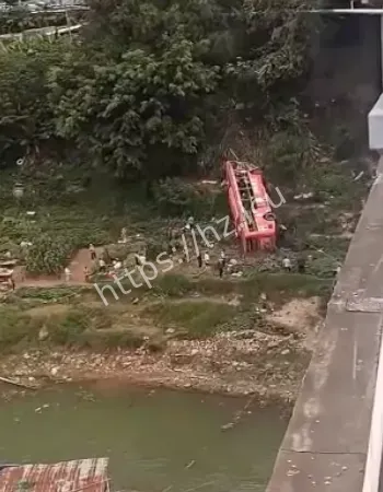 并送医治疗