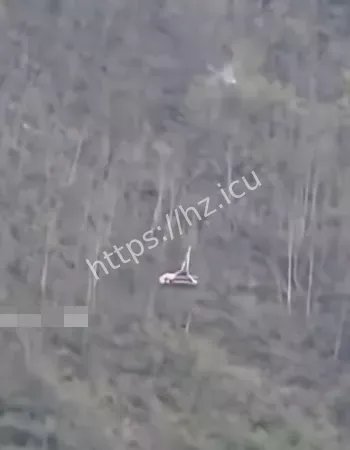 半空惨遭炸机