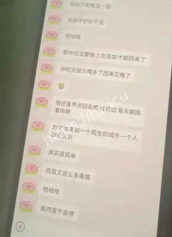 井芝
