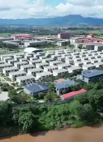 金屋藏娇秘密生子