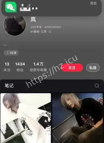 网红男神英雄王