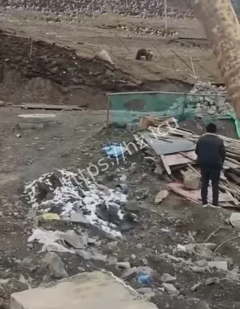 如上战场