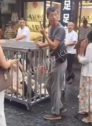 两女子关铁笼游街示众