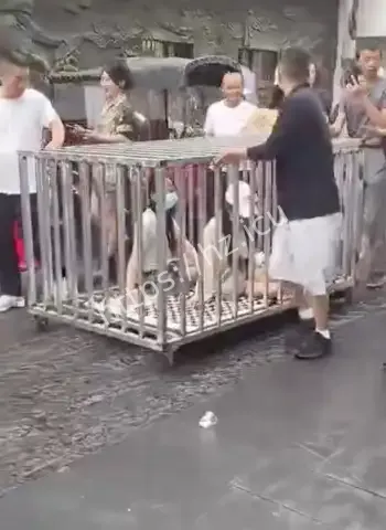 两女子关铁笼游街示众