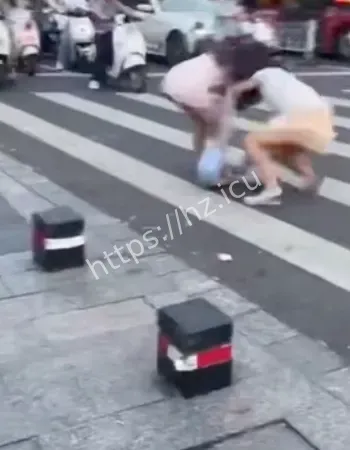 两女子街头打架