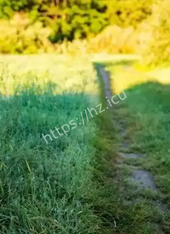 内裤DNA涉及三名男子