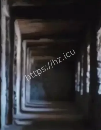 希特勒几次派人探秘