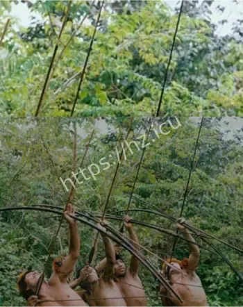 南美原始部落