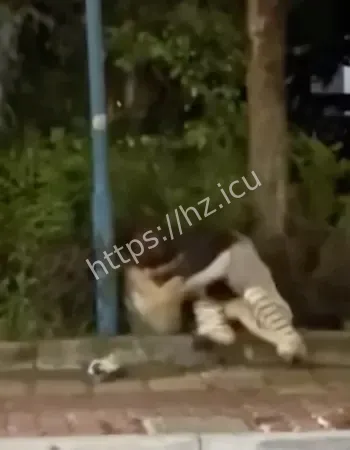 围观群众