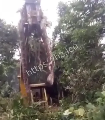 巴西公路巨蟒引发大堵车